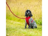 Postroj Mountain Paws Dog Harness - Red